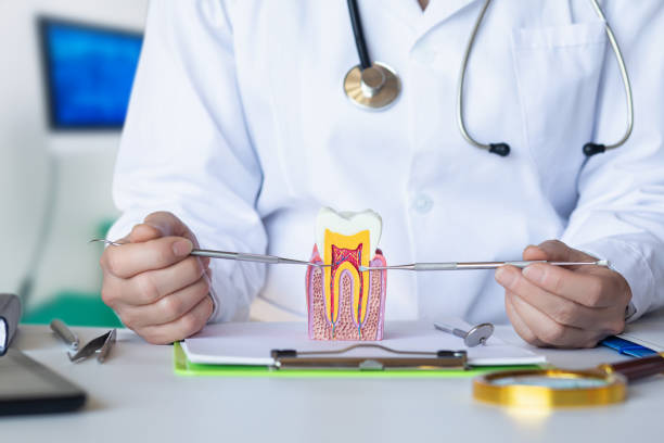 Best Tooth Pain Emergency Relief  in Ravenna, OH
